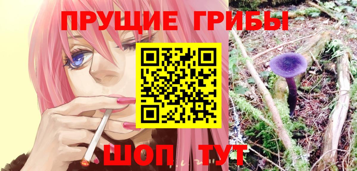 Галлюциногенные грибы Psilocybe  Вход с VPN  Усинск 